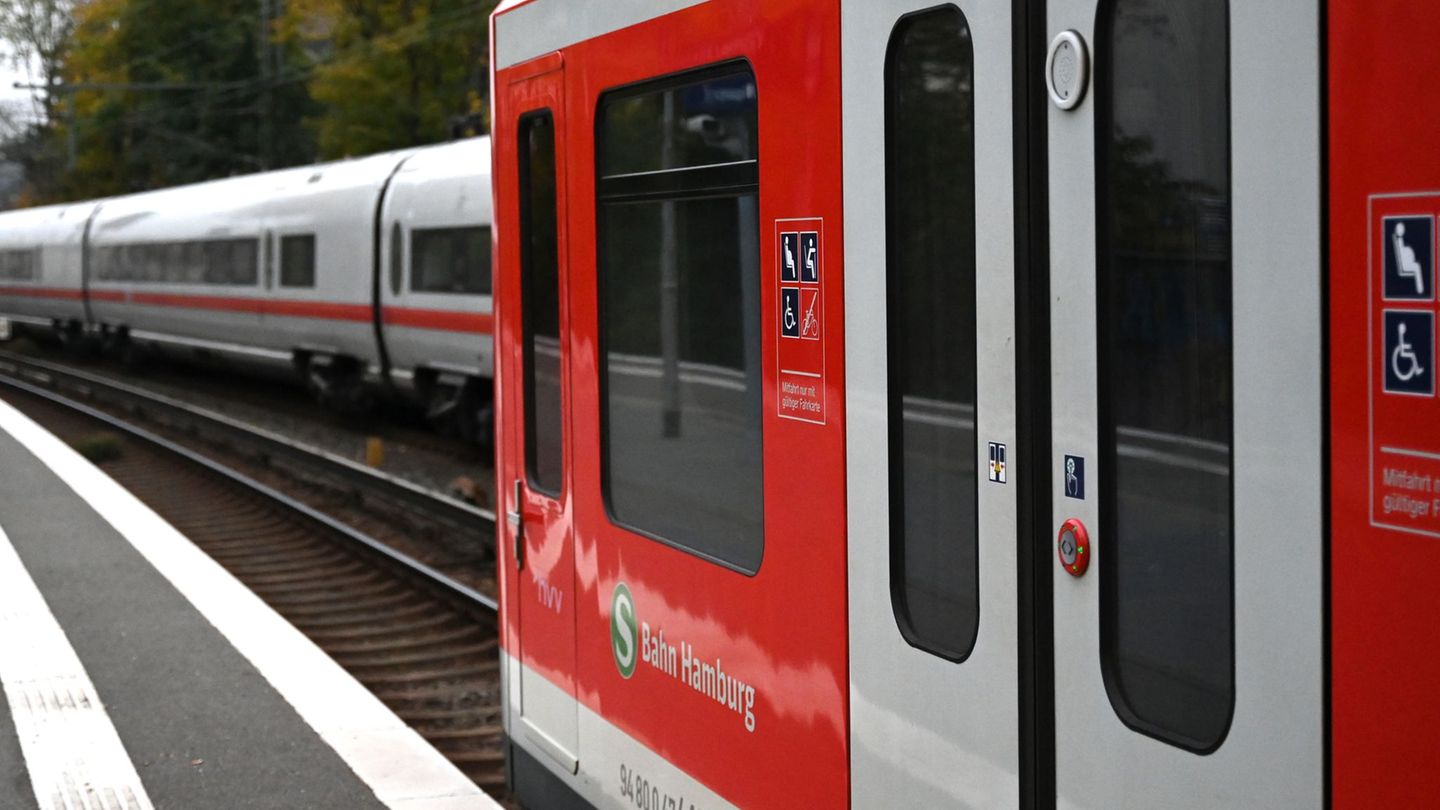 In Hamburg hat sich die Zahl der registrierten S-Bahn-Surfer vervielfacht. (Archivbild) Foto: Niklas Graeber/dpa