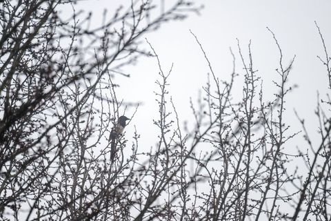 Das Wetter in Bayern bleibt trüb. (Archivbild) Foto: Pia Bayer/dpa