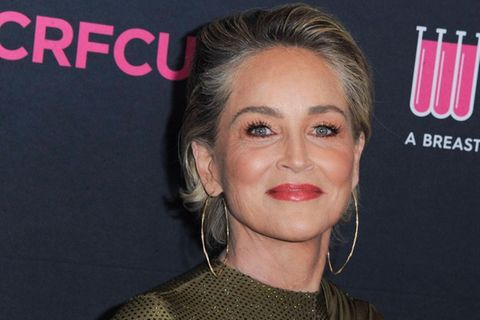 Sharon Stone wurde von Unternehmer Karl Guschlbauer nach Wien eingeladen.