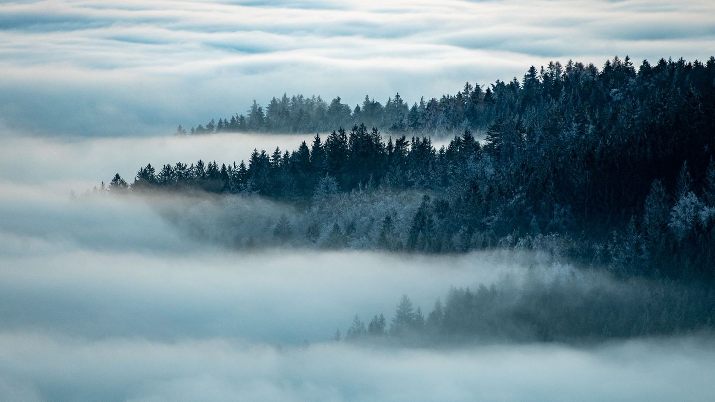 Stille Schönheit im Bayerischen Wald. Niederbayern und die Oberpfalz verzeichneten in der Tourismusbilanz 2025 den größten Gäste