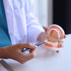 Ausgezeichnete Ärzte im Bereich Endodontologie