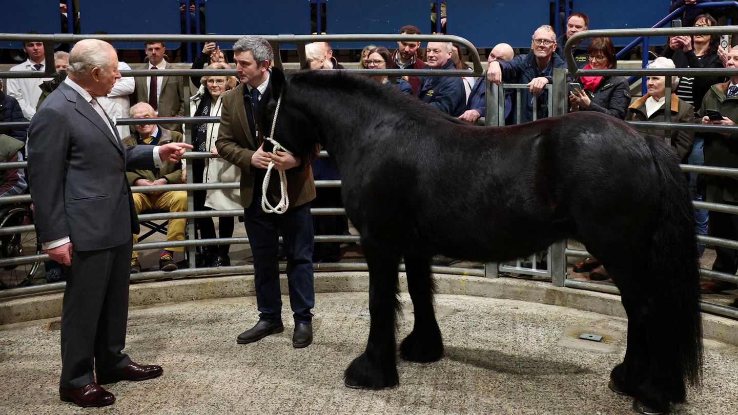 Clitheroe, Vereinigtes Königreich. Im Gespräch mit Ben Thorpe, dem Besitzer von Pearl, zeigt König Charles III. sein Interesse an den robusten britischen Fellponys, umringt von einem Publikum, das aufmerksam dem königlichen Austausch lauscht
