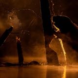 Biber und Spinne bei Nacht