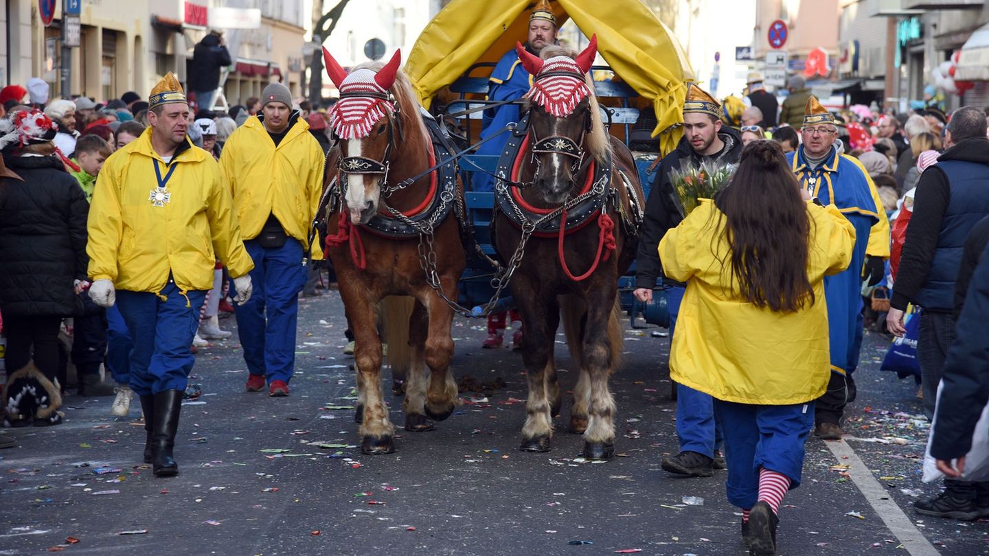 Karneval ist für viele Pferde kein Spaß. (Archivbild) Foto: Henning Kaiser/dpa