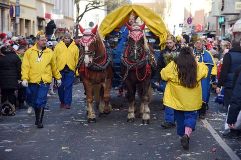Karneval ist für viele Pferde kein Spaß. (Archivbild) Foto: Henning Kaiser/dpa
