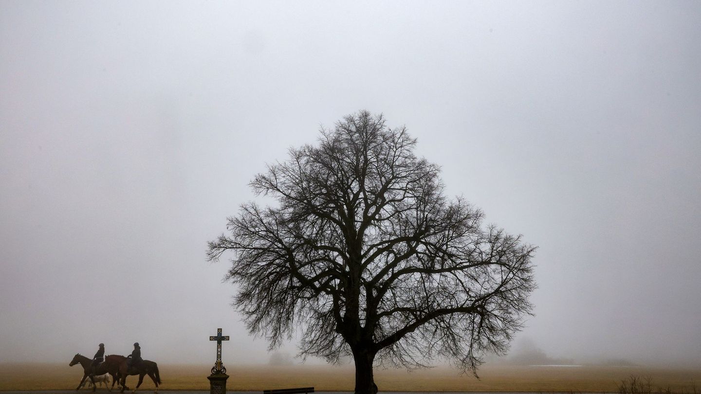 Ungemütliche, trübe Tage stehen bevor. Foto: Thomas Warnack/dpa