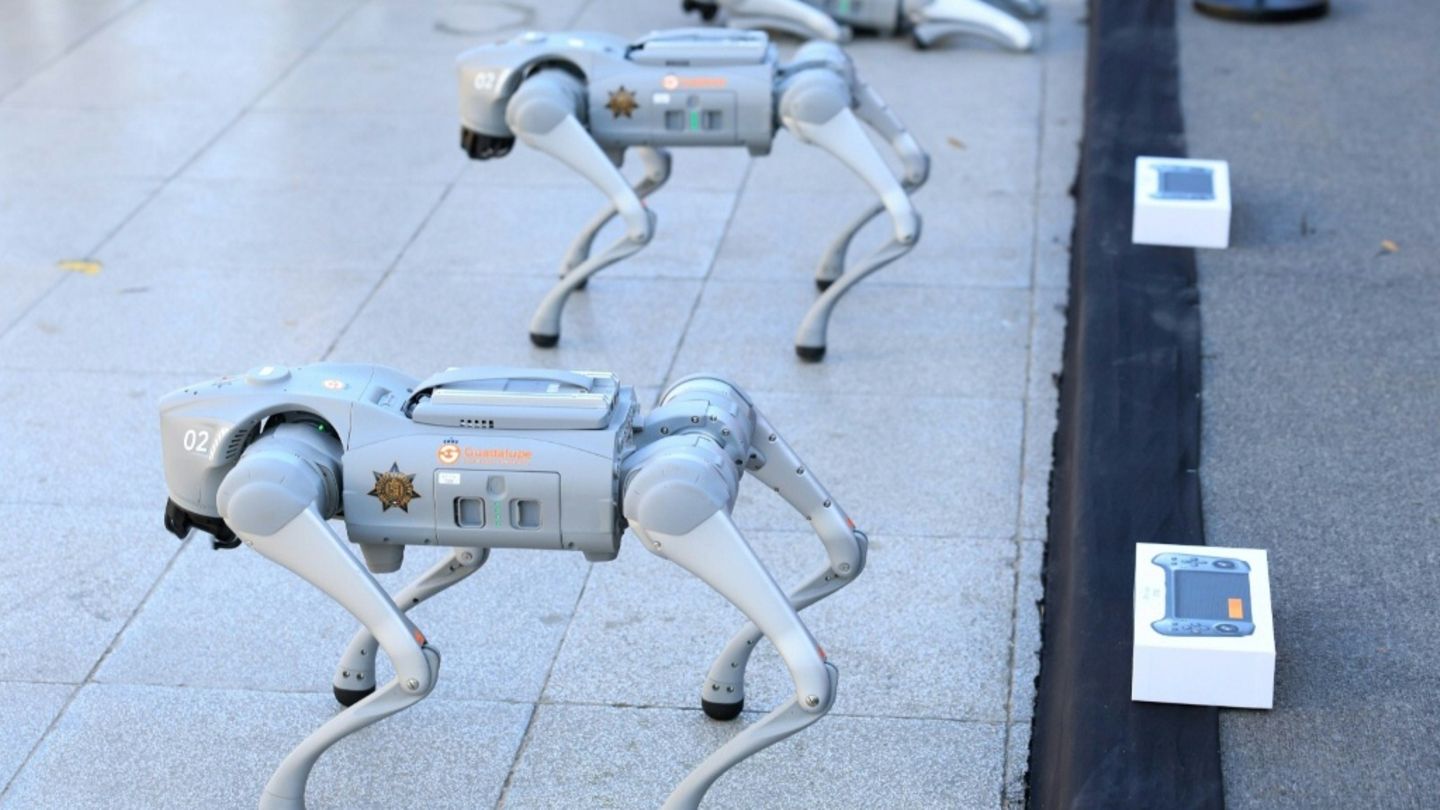 Roboter-Hunde