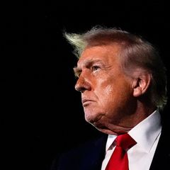 Donald Trump im Profil