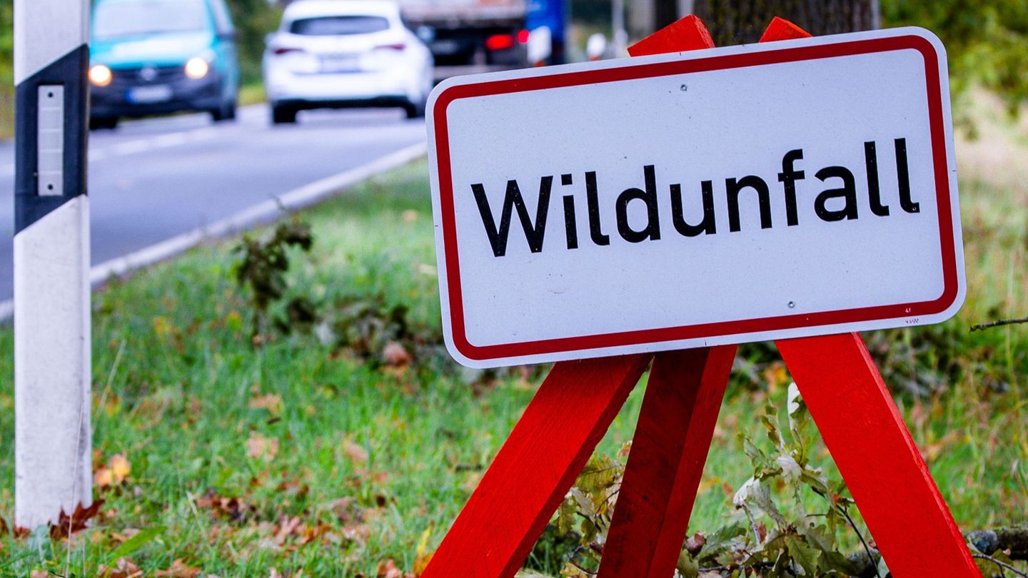 Kurz nach dem Zusammenstoß mit den Tieren kam es zu einem weiteren Unfall. (Symbolbild) Foto: Jens Büttner/dpa