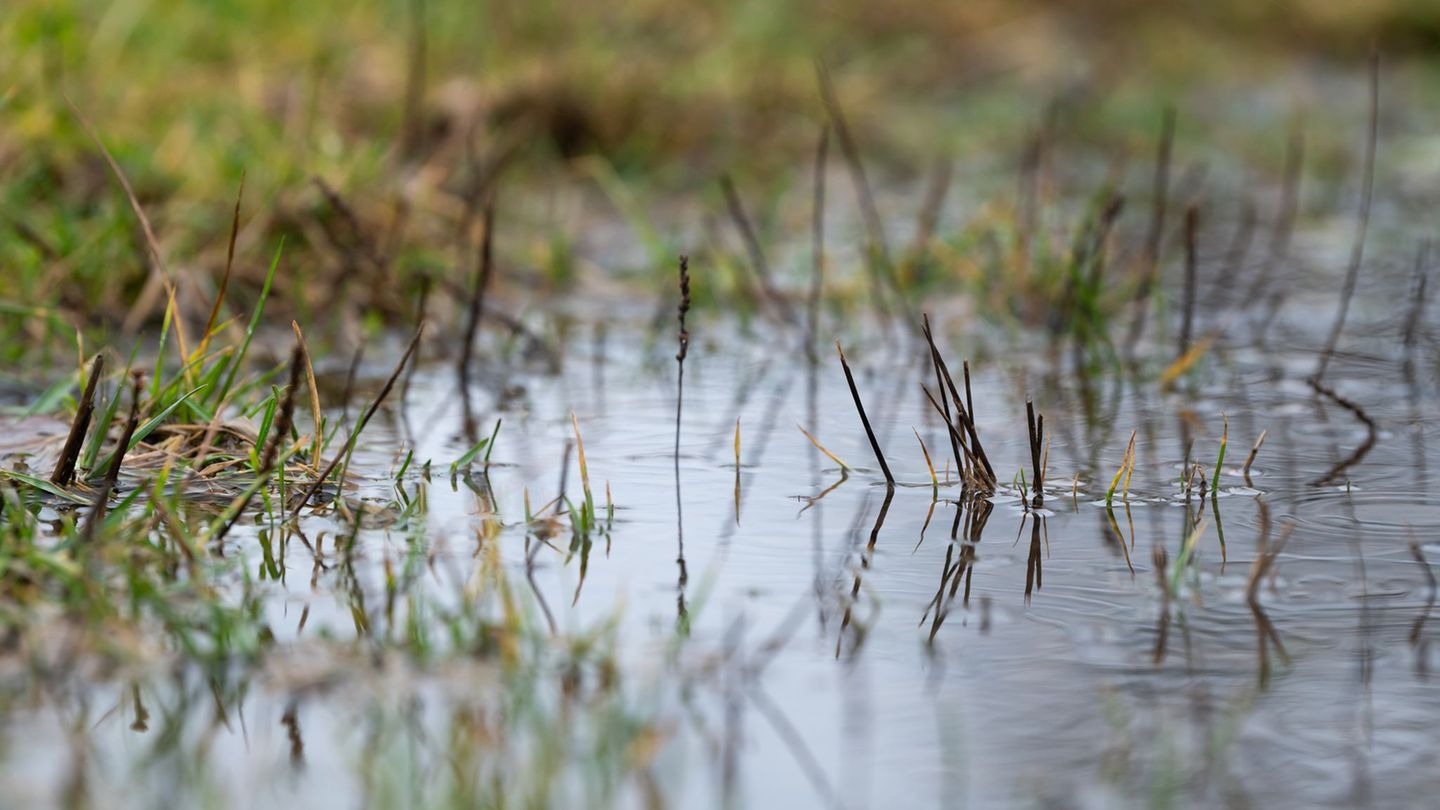 Die Hochwasservorhersagezentrale hat eine Vorwarnung herausgegeben. (Symbolfoto) Foto: Silas Stein/dpa