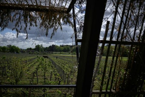 Weingut in der Gegend von Bordeaux