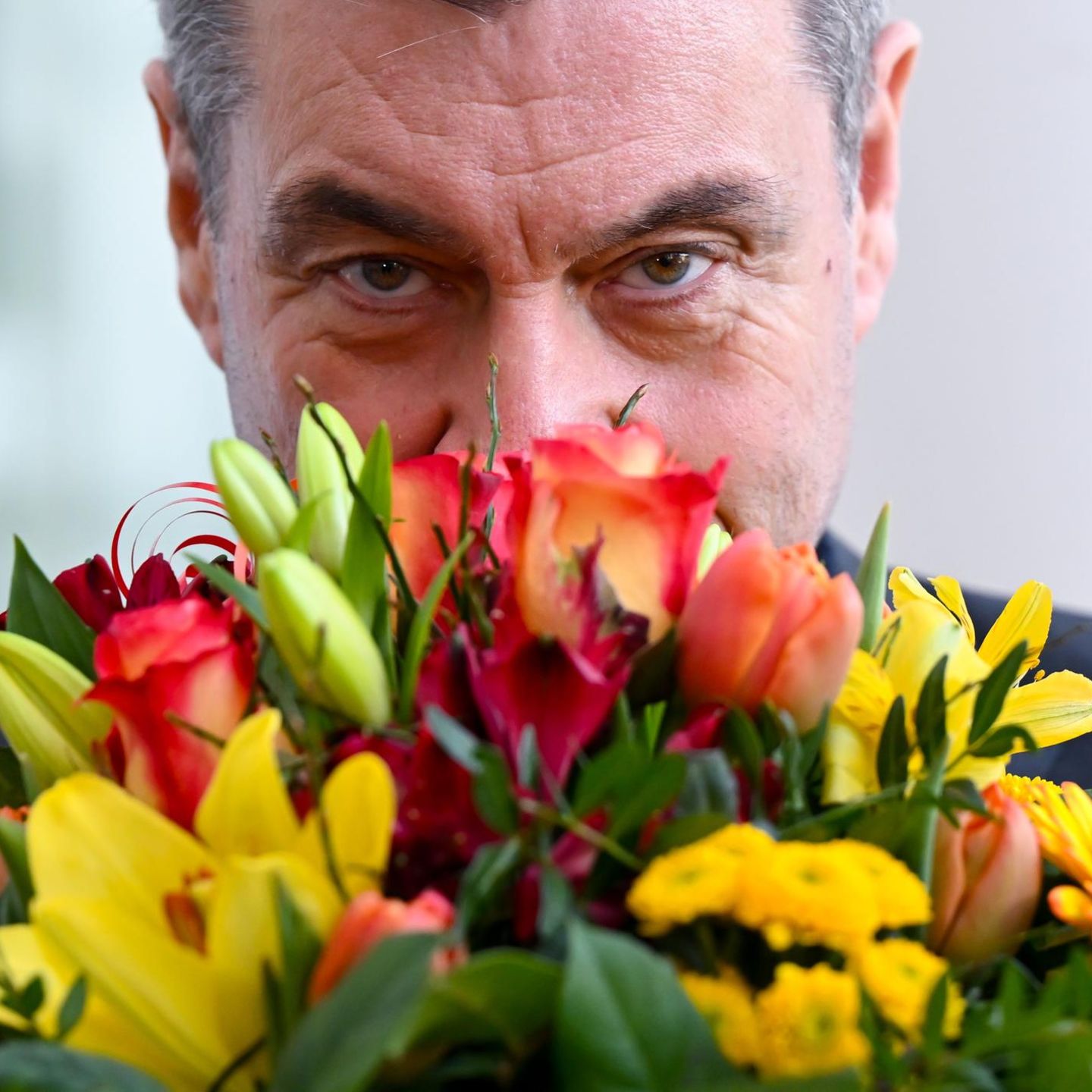 München, Deutschland. Lasst Blumen sprechen! Auch der bayerische Ministerpräsident Markus Söder meint es wohl so kurz vor Beginn einer Kabinettssitzung, wenige Tage vor dem Valentinstag. Traditionell haben die Vertreter der bayerischen Gartenbauverbände den Politikern zum Valentinstag einen schönen Blumenstrauß überreicht.