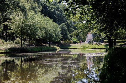 Am Goldfischteich im Berliner Tiergarten soll ein Denkmal für die während der NS-Zeit verfolgten Zeugen Jehovas entstehen. (Arch