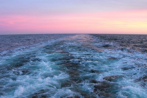 Vor allem große Schiffen wirbeln mit ihrem Kielwasser das Meer kräftig auf. Foto: Ronja Strehlau/CAU/dpa