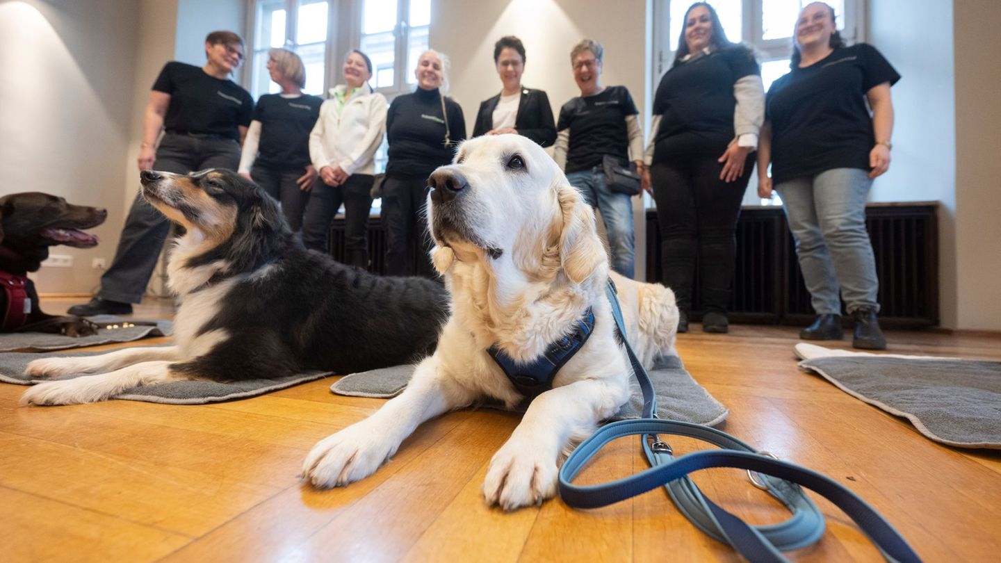 Auch Golden Retriever "Nele" hilft vor Gericht aus. Foto: Marijan Murat/dpa
