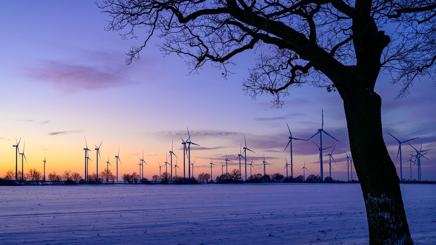 SPD und CDU in Brandenburg wollen einen "Wildwuchs" bei Windkraftanlagen verhindern (Archivbild). Foto: Patrick Pleul/dpa
