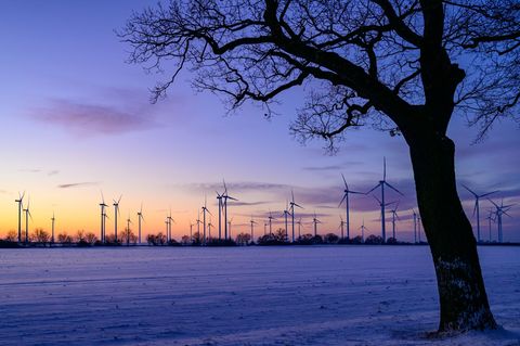 SPD und CDU in Brandenburg wollen einen "Wildwuchs" bei Windkraftanlagen verhindern (Archivbild). Foto: Patrick Pleul/dpa