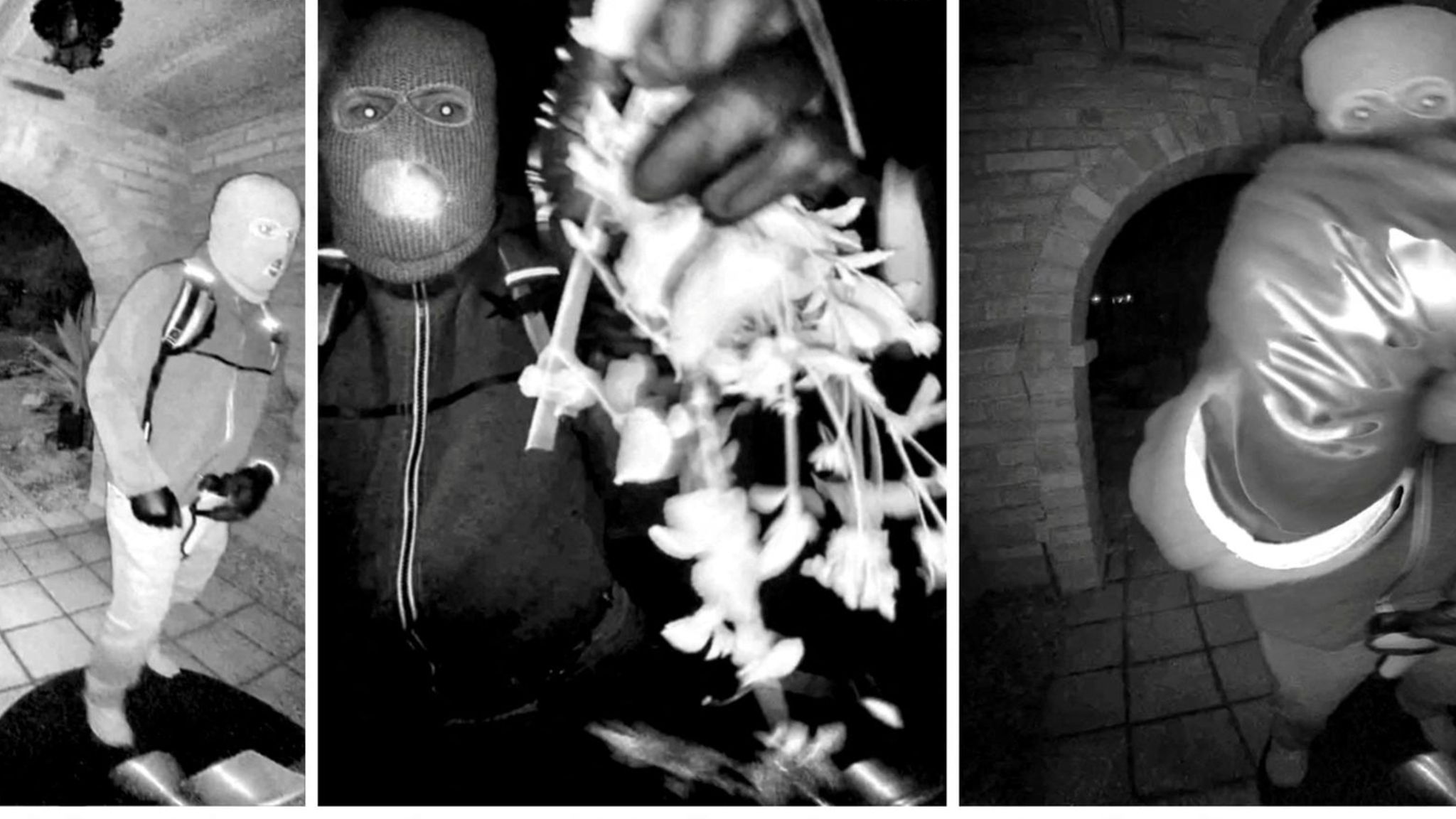 Schwarz-Weiß-Bilder aus der Tatnacht, zeigen den mutmaßlichen Entführer von Nancy Guthrie