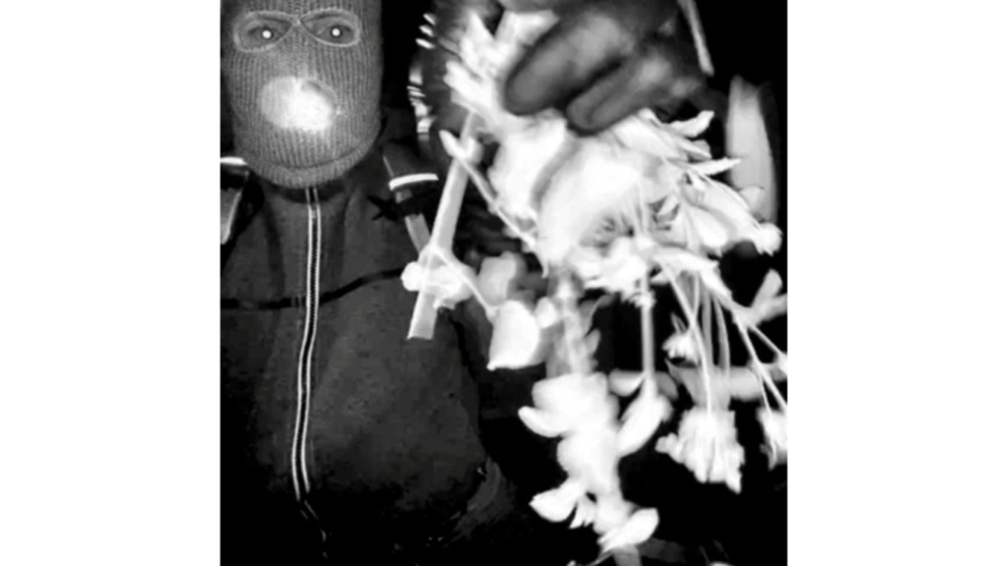 Überwachungsaufnahme eines Verdächtigen