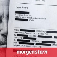 Wurden in den Epstein-Akten unnötige Schwärzungen vorgenommen?