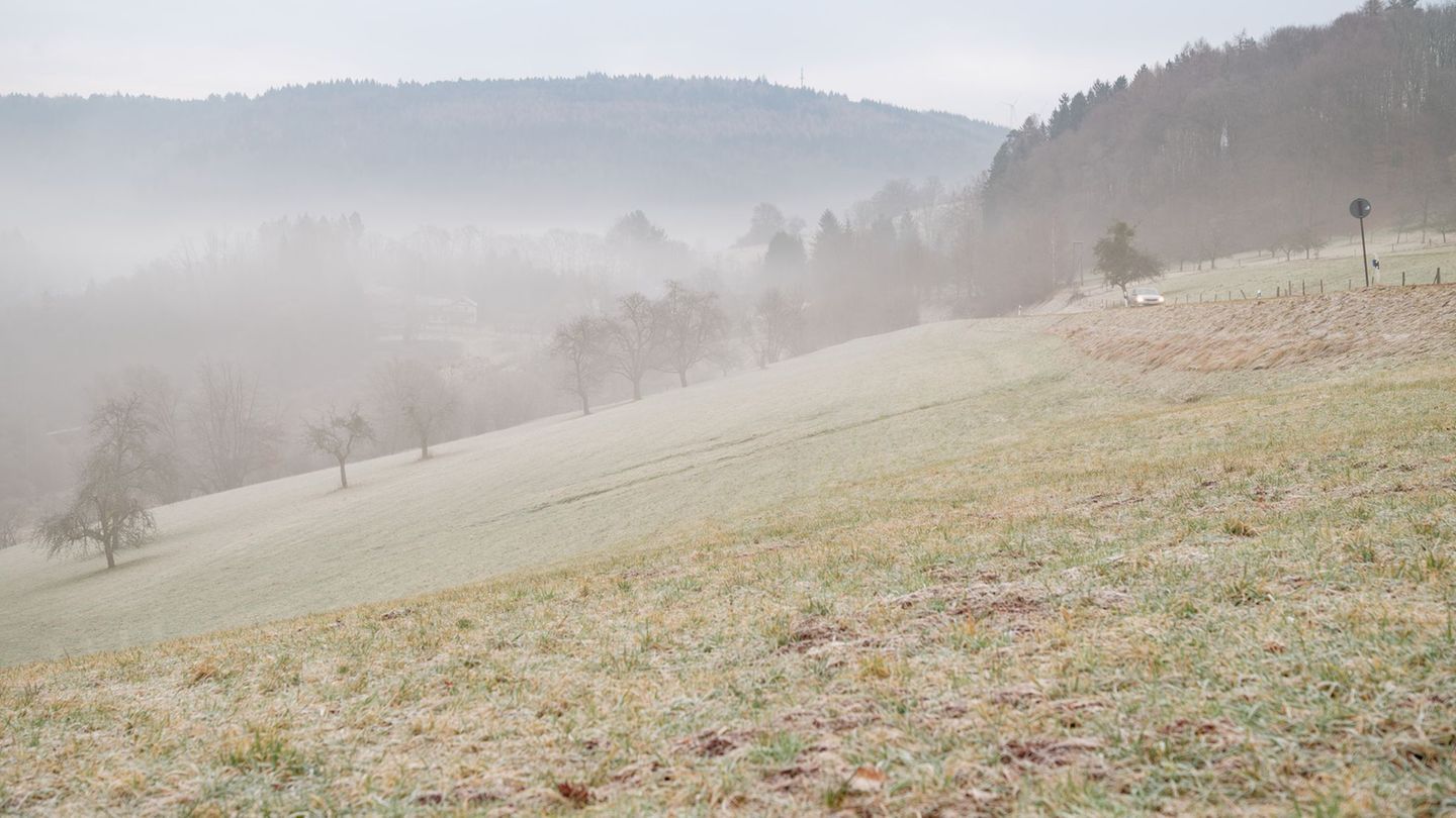 Es bleibt ungemütlich im Südwesten. Foto: Uwe Anspach/dpa