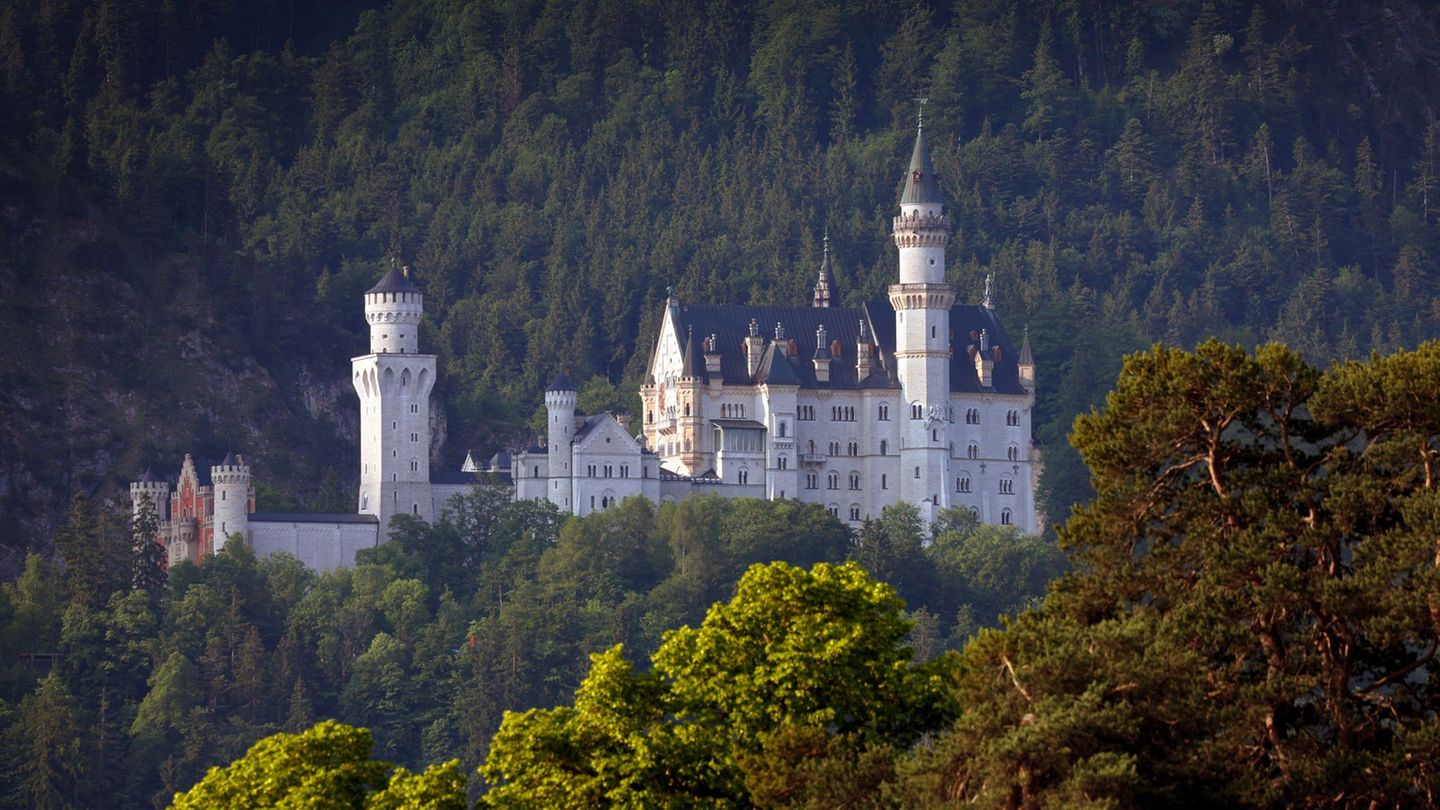 Fast 1,1 Millionen Menschen haben Schloss Neuschwanstein 2025 besucht. (Archivbild) Foto: Karl-Josef Hildenbrand/dpa