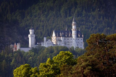 Fast 1,1 Millionen Menschen haben Schloss Neuschwanstein 2025 besucht. (Archivbild) Foto: Karl-Josef Hildenbrand/dpa