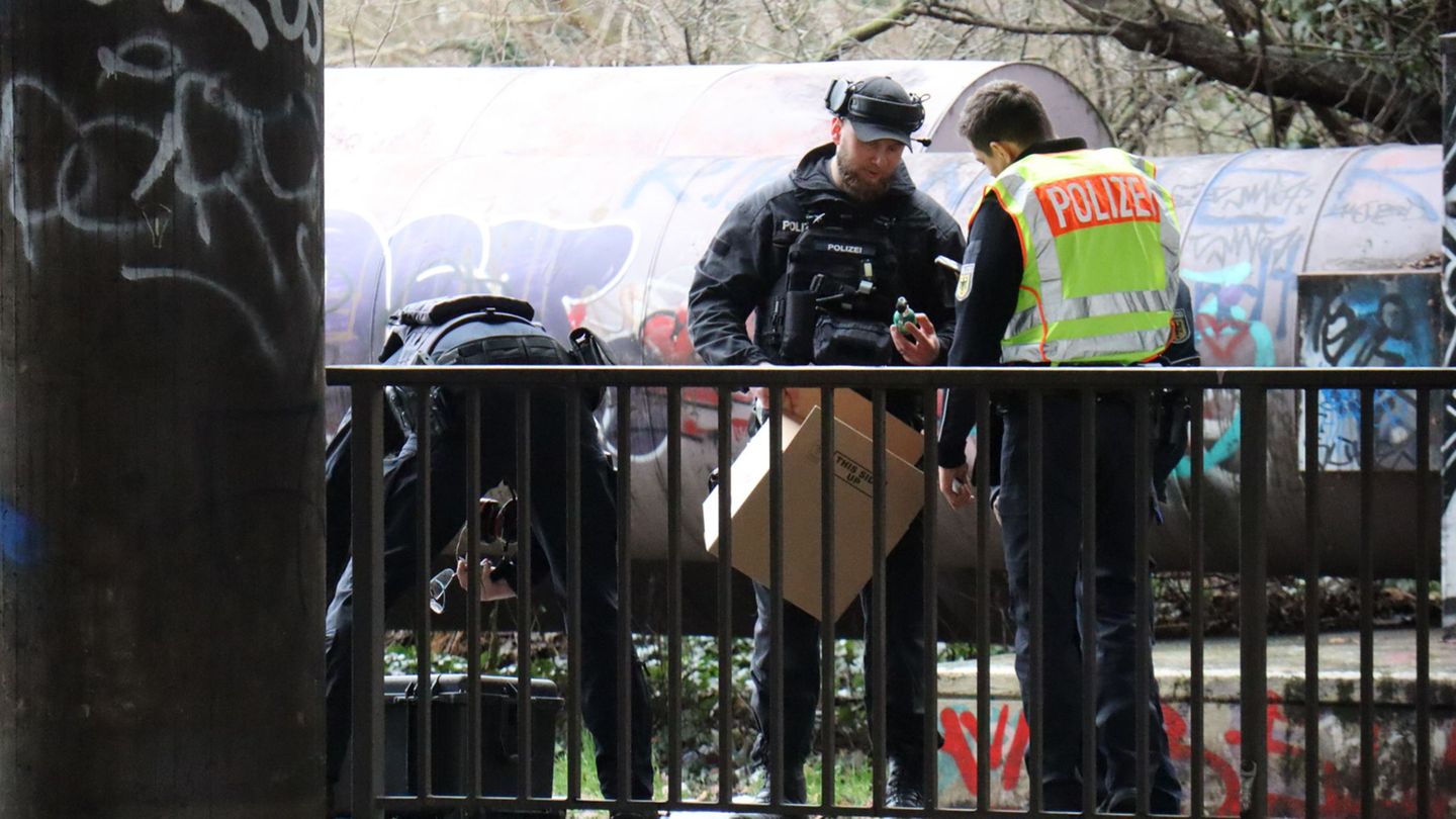 Die Gleise zwischen dem Hauptbahnhof und Mannheim-Rheinau waren gesperrt. Foto: Priebe/pr-video/dpa