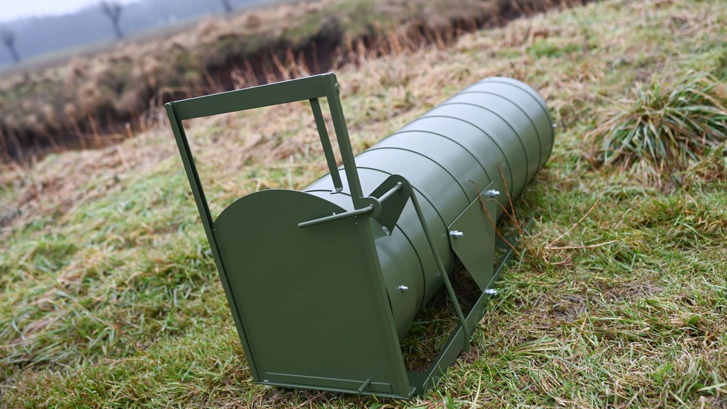 Eine Nutria-Falle liegt bei einem Pressetermin des Landkreises Emsland. Foto: Lars Penning/dpa