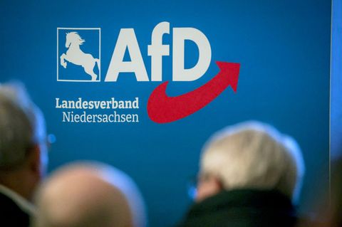 Die niedersächsische AfD zählte zum Jahreswechsel rund 8.000 Mitglieder. (Archivbild) Foto: Focke Strangmann/dpa