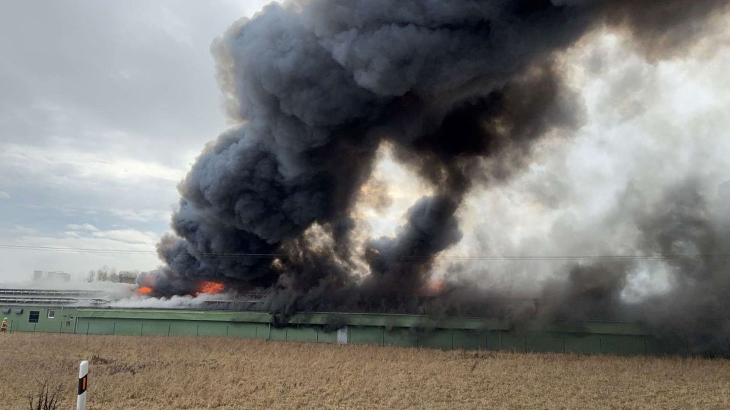 Wegen des massiven Rauchs mussten die Einwohner von Pfatter Fenster und Türen geschlossen halten. Auch die nahe B8 wurde gesperr