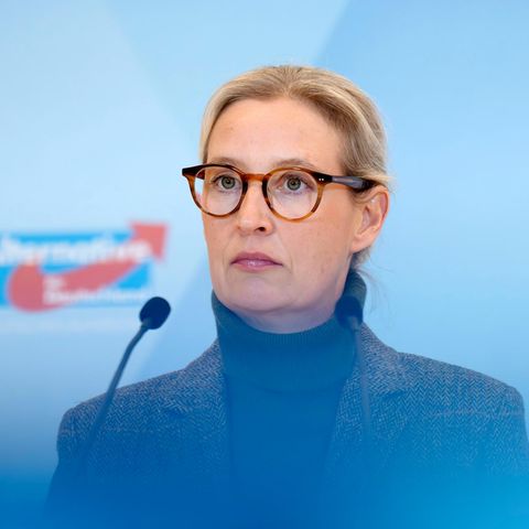 Schlägt sich die AfD gerade selbst?