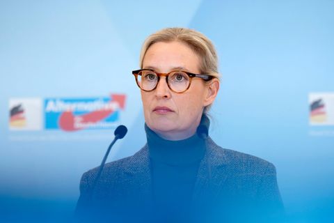 Schlägt sich die AfD gerade selbst?