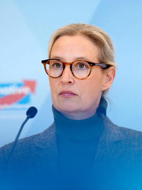 Schlägt sich die AfD gerade selbst?