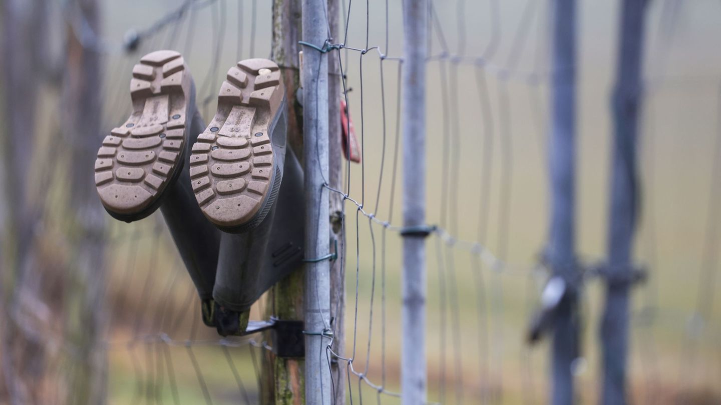 Regen, Regen und Dauerregen im Südwesten? (Symbolbild) Foto: Thomas Warnack/dpa