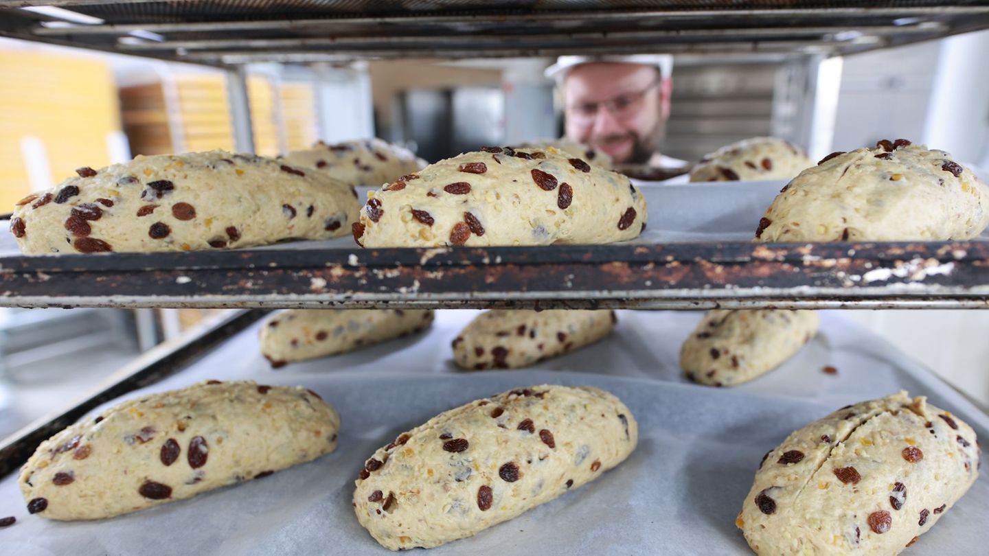 Das Unternehmen ist vor allem für den Halberstädter Domstollen bekannt, der im Keller des Doms reift. (Archivbild) Foto: Matthia