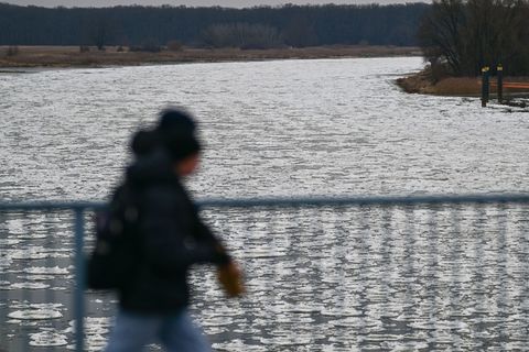 Auf der Oder hat sich in den vergangenen Woche eine Eisdecke gebildet. (Archivbild) Foto: Sebastian Gollnow/dpa