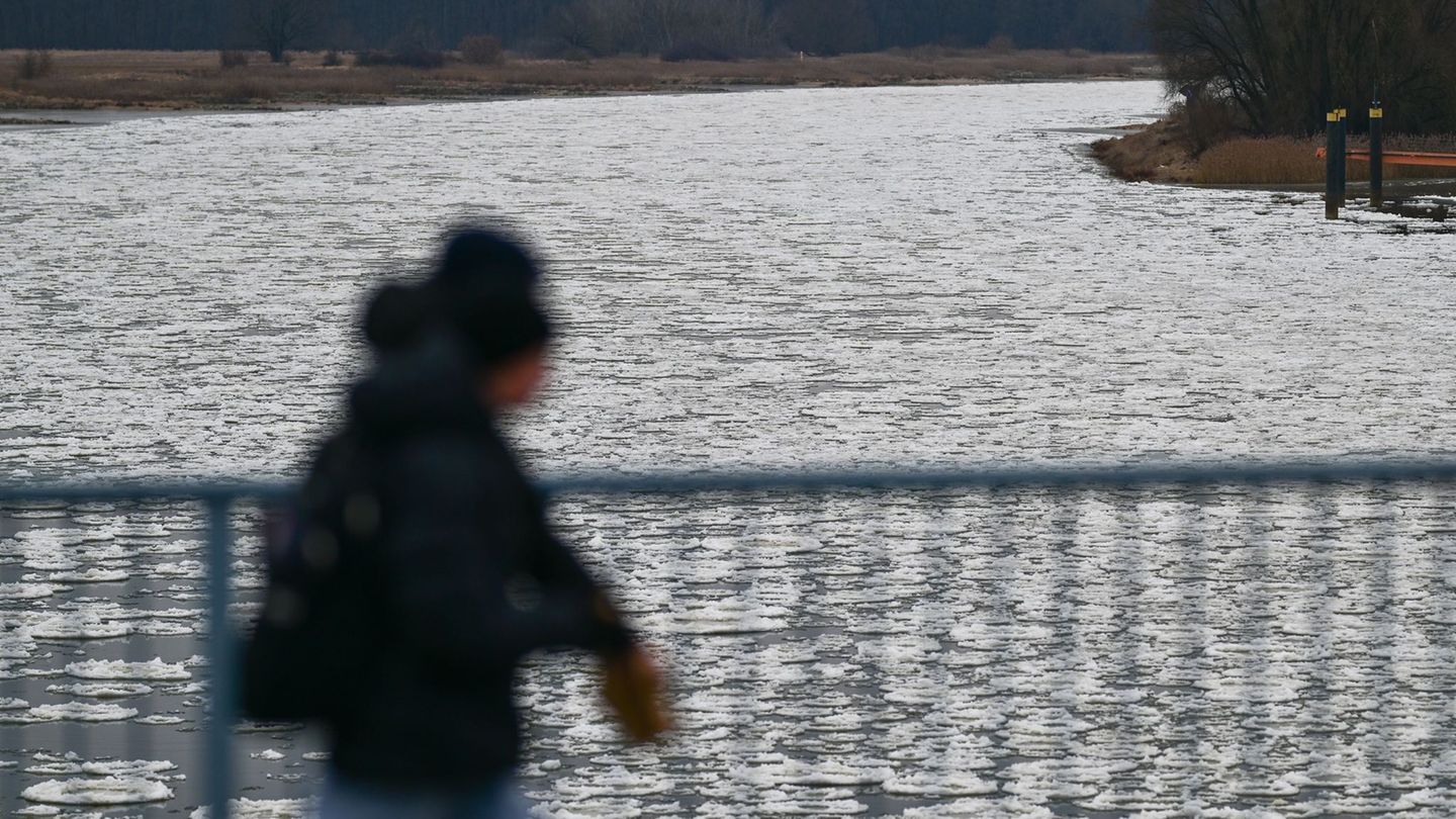 Auf der Oder hat sich in den vergangenen Woche eine Eisdecke gebildet. (Archivbild) Foto: Sebastian Gollnow/dpa
