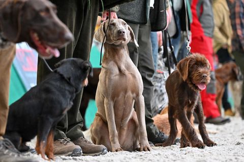 Angebote für Freizeit im Grünen werden geboten. (Archivbild) Foto: Martin Schutt/dpa
