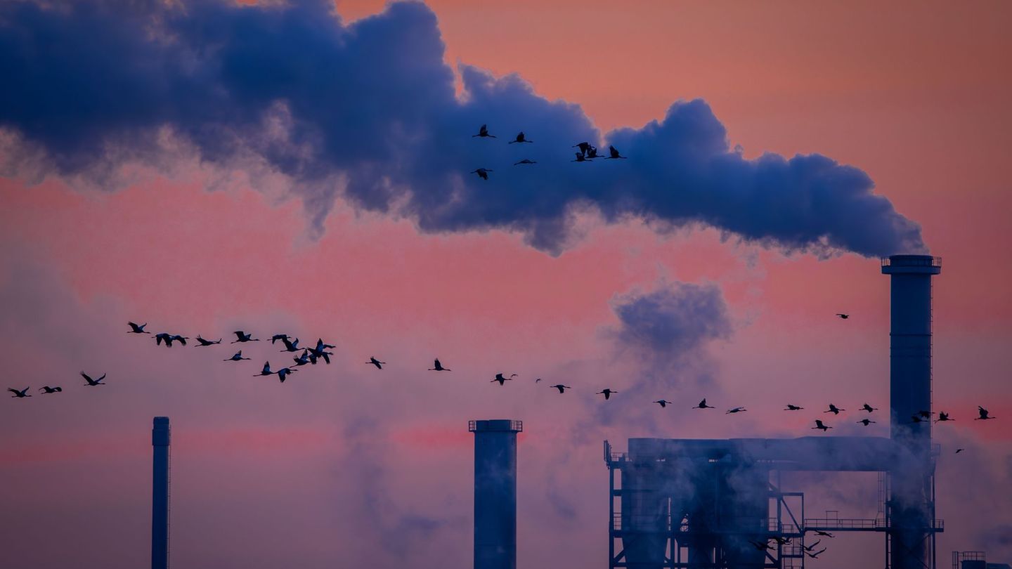 Industriebetriebe in Norddeutschland versuchen, ihre Abhängigkeit von den USA zu verringern. (Archivbild) Foto: Jens Büttner/dpa