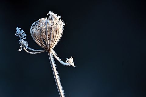 In NRW wird es wieder kälter. (Archivfoto) Foto: Federico Gambarini/dpa