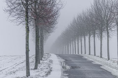Am Wochenende hält sich das Winterwetter im Norden. (Symbolbild) Foto: Markus Scholz/dpa