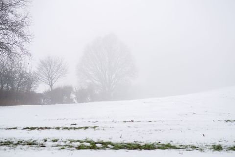 Das Wochenende in Niedersachsen und Bremen zeigt sich von seiner winterlich-trüben Seite. (Symbolbild) Foto: Hauke-Christian Dit