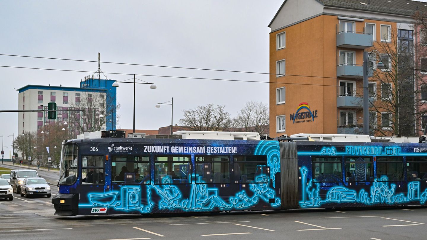 Eine Straßenbahn war in Frankfurt (Oder) in einen Unfall verwickelt. (Symbolbild) Foto: Patrick Pleul/dpa