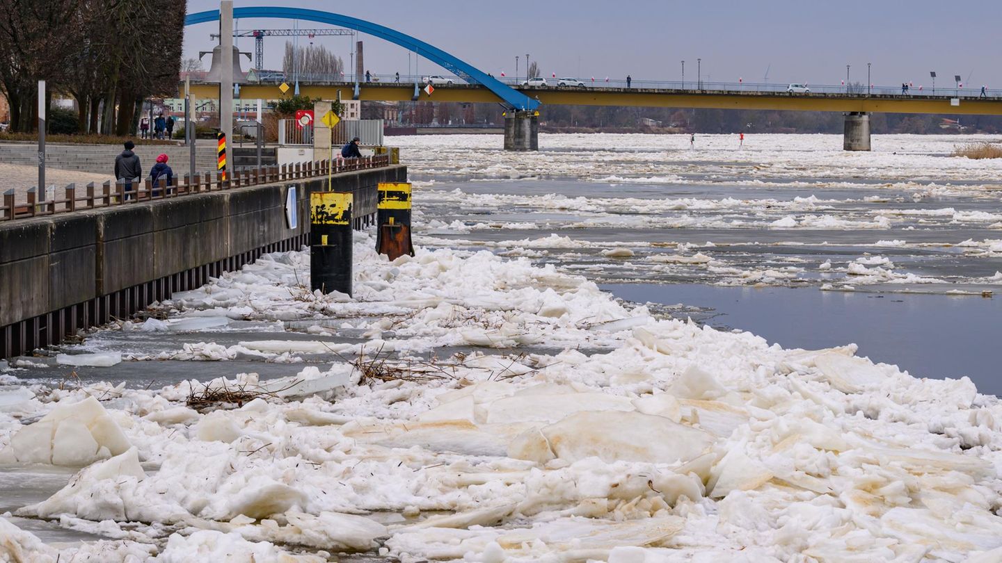 Winterwetter: Zusammengeschobene Eisschollen stauen sich auf dem deutsch-polnischen Grenzfluss Oder