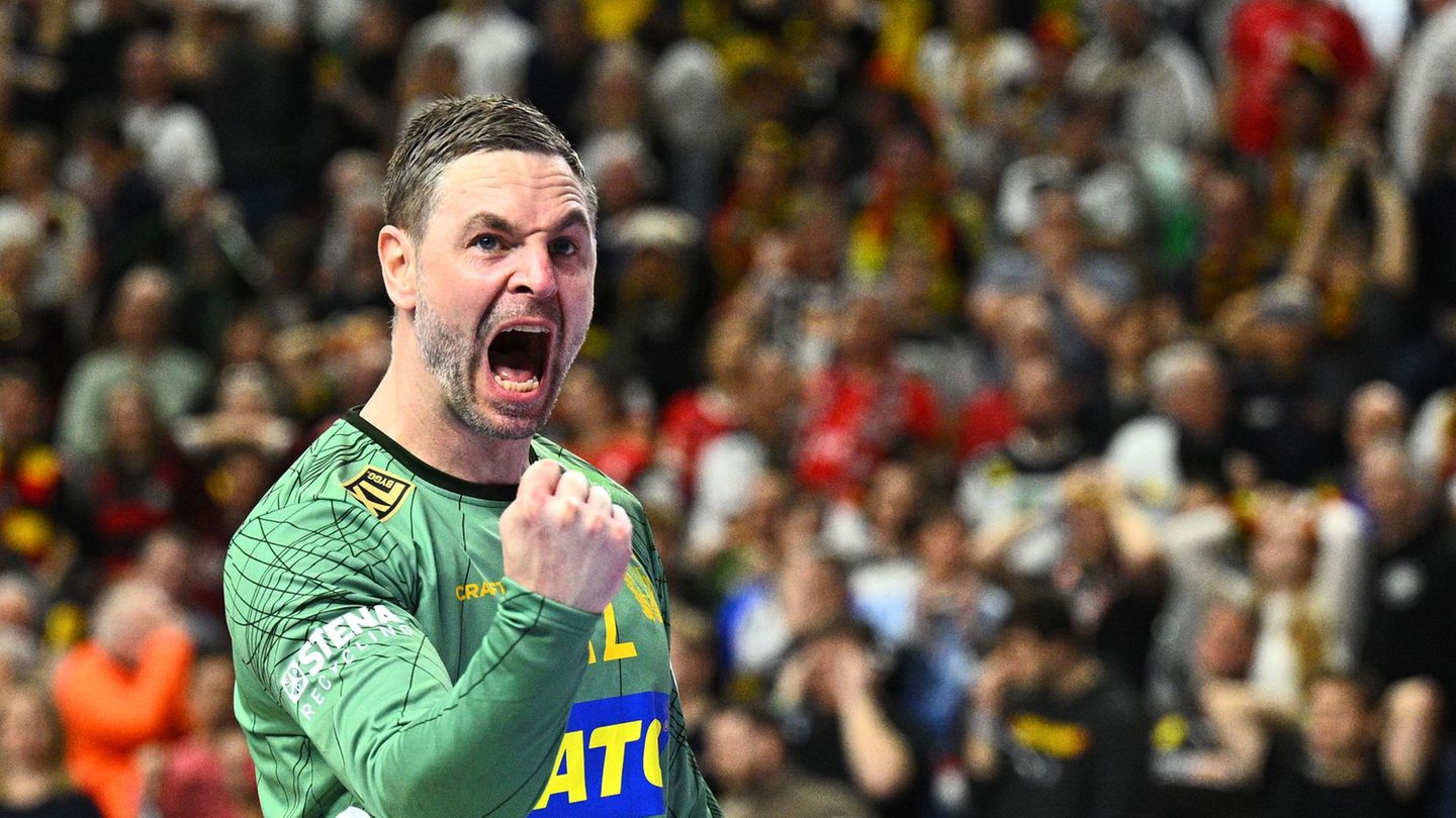 Andreas Palicka hütet ab Sommer das Tor der Füchse Berlin. (Archivbild) Foto: Tom Weller/dpa