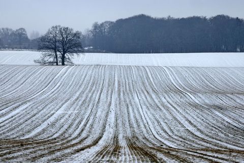 Schnee bis in die Niederungen ist am Samstag für die Mitte und den Süden vorhergesagt. Foto: Bernd Wüstneck/dpa