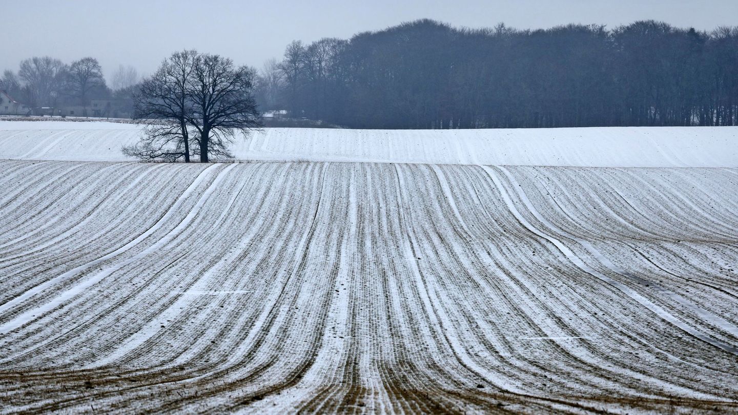 Schnee bis in die Niederungen ist am Samstag für die Mitte und den Süden vorhergesagt. Foto: Bernd Wüstneck/dpa