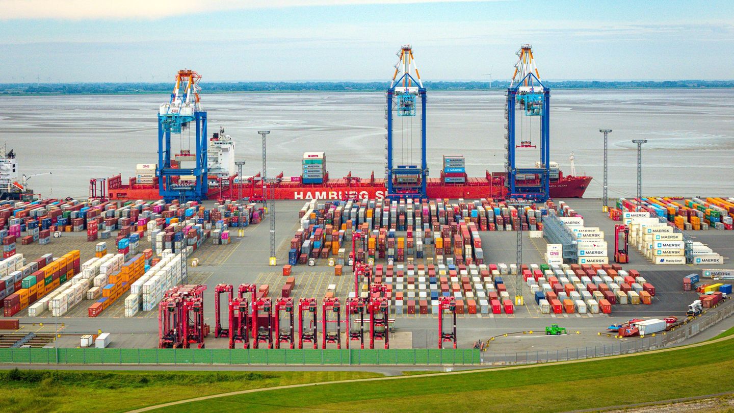 Das Container-Terminal soll für eine Milliarde Euro modernisiert werden. (Archivfoto) Foto: Sina Schuldt/dpa