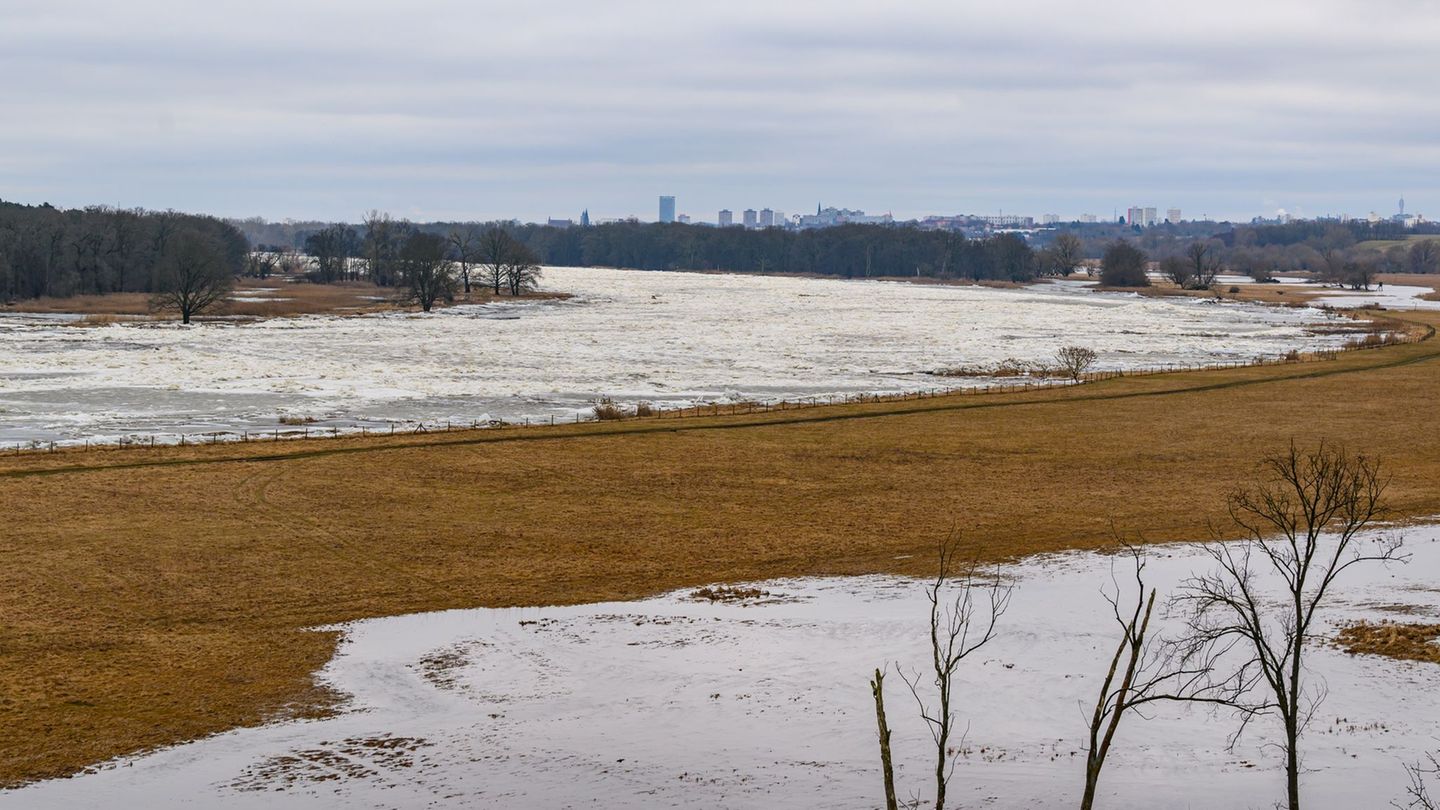 Entlang der Oder hatte es zuletzt eine Hochwasserwarnung gegeben. Foto: Patrick Pleul/dpa